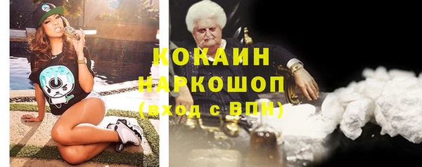 мет Ельня