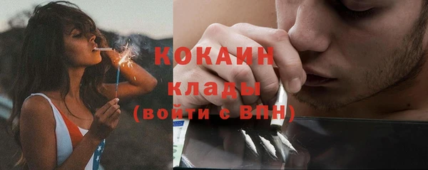 гашик Зеленокумск