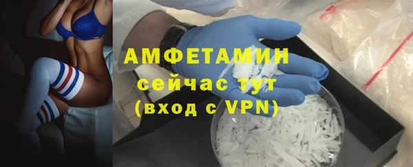 гашик Зеленокумск