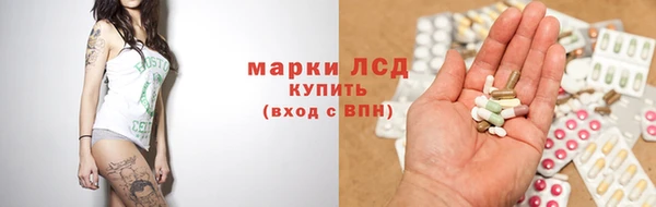 гашик Зеленокумск