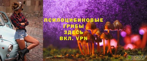 гашик Зеленокумск