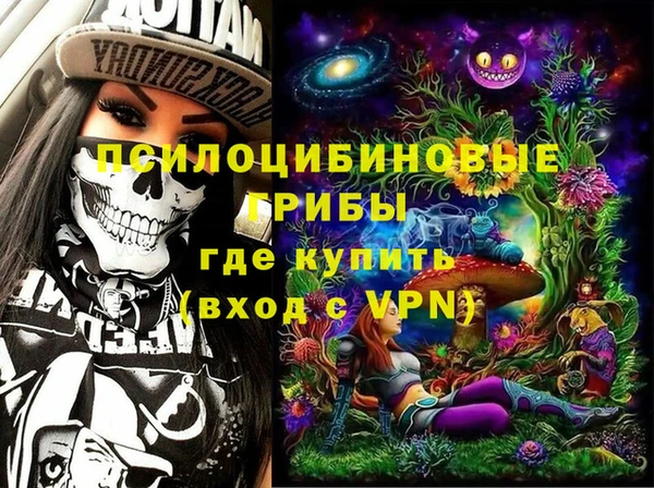 бошки Зеленодольск
