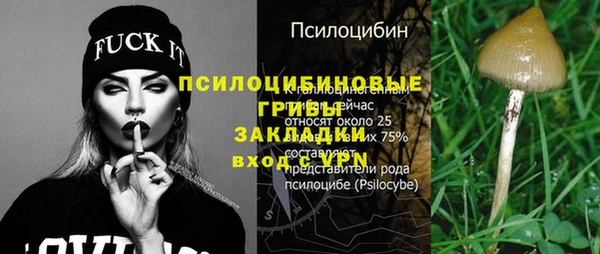 амф Зерноград