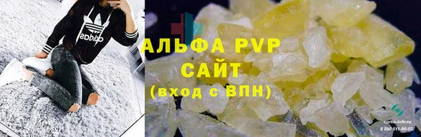 гашик Зеленокумск