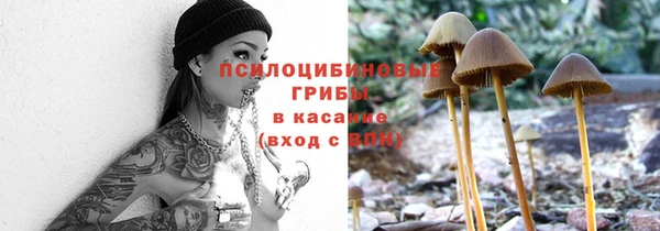 бошки Зеленодольск