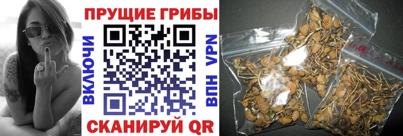 Купить закладки  Лебедянь  Псилоцибиновые грибы ЛСД 